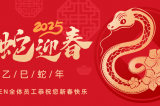 辭舊迎新，蛇舞華章丨深圳容金科技全體員工祝您新春快樂！