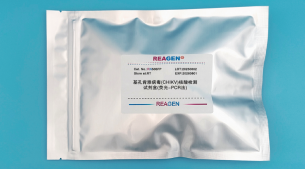 基孔肯雅病毒核酸檢測試劑