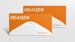 NiV Fusion glycoprotein F1 Recombinant Antibody