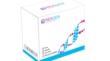 馬、驢源性恒溫核酸檢測(cè)試劑盒